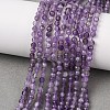 Natural Amethyst Beads Strands G-T108-35-2