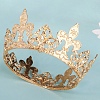 Alloy Rhinestone Hair Bands PW-WG7393C-01-3