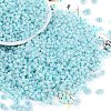 Opaque Colours Luster Glass Seed Beads SEED-K010-04E-1