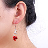Alloy Rhinestone Plastic Dangle Earrings FS-WGD28C7-01-3