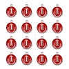 Platinum Plated Alloy Enamel Charms LS-X-ENAM-S118-03I-P-2