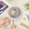 Steel Wire Straw Rope FIND-WH0366-414A-3