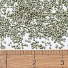 MIYUKI Delica Beads X-SEED-J020-DB1170-4