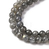 Natural Labradorite Beads Strands G-H326-01-6mm-4