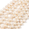 Natural Cultured Freshwater Pearl Beads Strands PEAR-I007-04E-01A-2