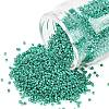 MIYUKI Delica Beads SEED-X0054-DB2505-1