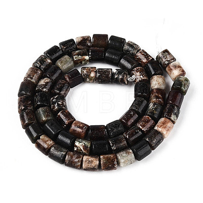 Natural Biotite Beads Strands G-T141-88A-1