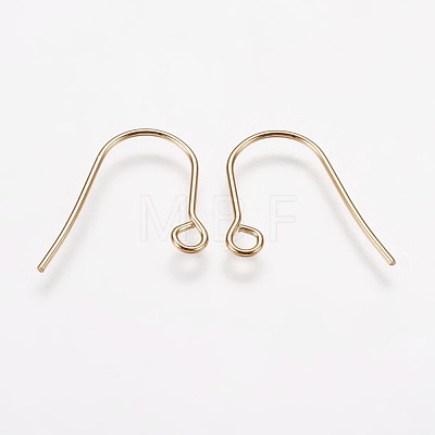304 Stainless Steel Earring Hooks STAS-F142-01G-1