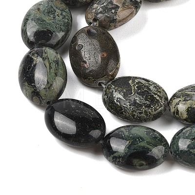 Natural Serpentine Beads Strands G-I231-01-1