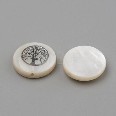 Natural Freshwater Shell Beads SHEL-Q011-006P-1