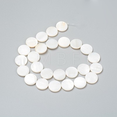 Natural Freshwater Shell Beads X-BSHE-I011-01B-02-1