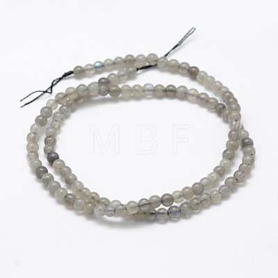 Natural Labradorite Beads Strands G-P322-31-4mm-1