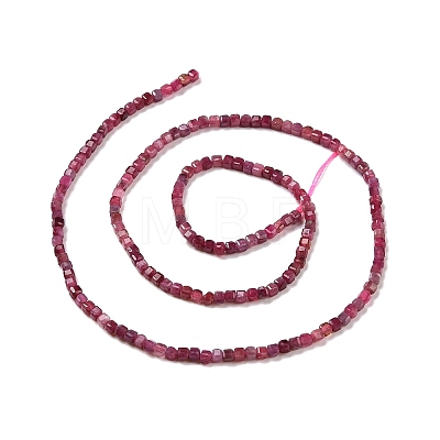 Natural Red Tourmaline Beads Strands G-C009-B22-1