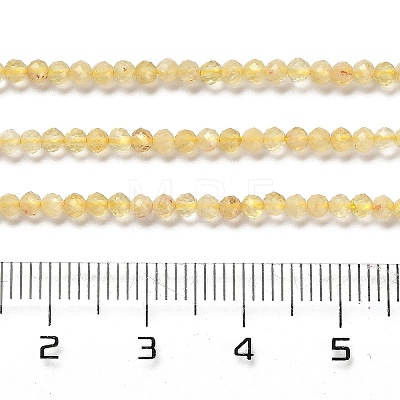 Natural Citrine Beads Strands G-Z074-A03-01-1