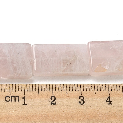 Natural Rose Quartz Beads Strands G-M420-G07-01-1