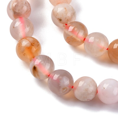 Natural Cherry Blossom Agate Beads Strands G-B130-6mm-02-1