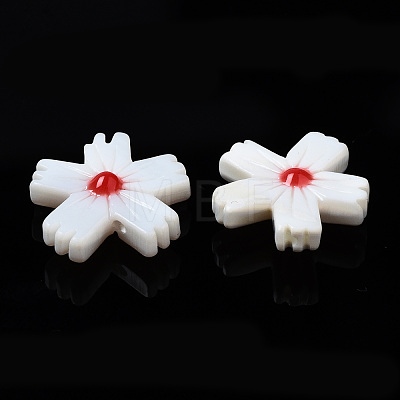 Natural Freshwater Shell Beads SHEL-N003-19D-1