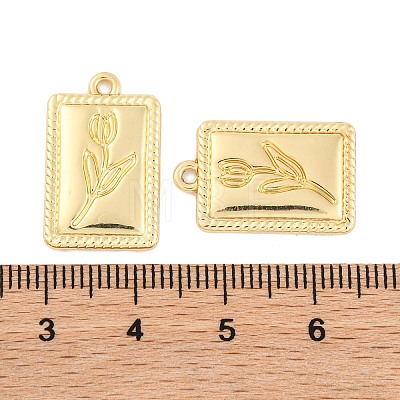 Alloy Pendants FIND-U007-09G-1