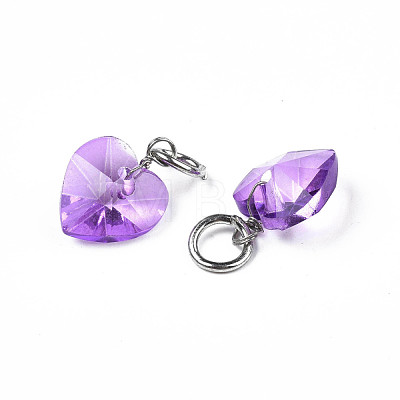 Faceted Transparent Glass Charms GLAA-T024-04B-1
