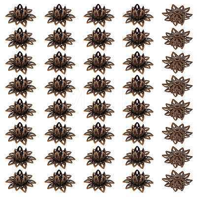 40Pcs Brass Bead Caps KK-PH0015-25AB-1