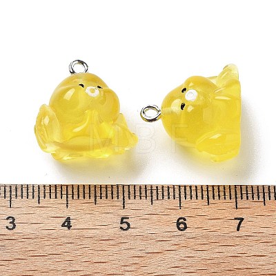 Resin Pendants RESI-A041-01B-1