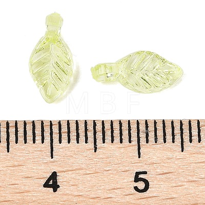 Transparent Acrylic Charms TACR-F009-11A-1