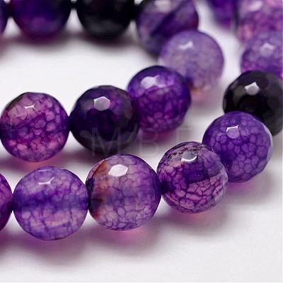 Natural Agate Bead Strands G-G882-12mm-C01-2-1