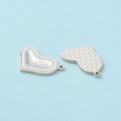 925 Sterling Silver Charms STER-C004-05S-1