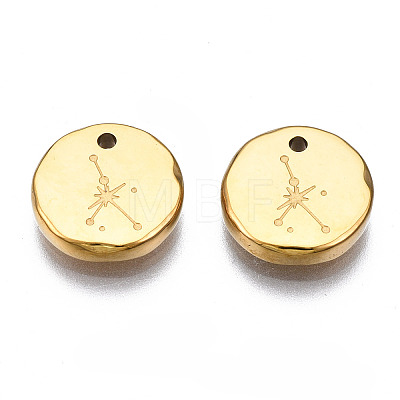 316 Surgical Stainless Steel Charms X-STAS-S116-418I-G-1