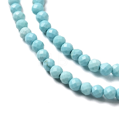 Natural Howlite Beads Strands G-C025-03A-01-1