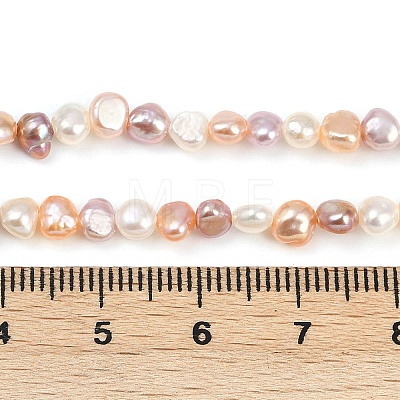 Natural Cultured Freshwater Pearl Beads Strands PEAR-P064-19B-13M-1