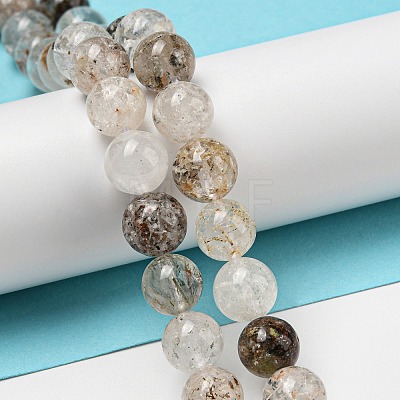 Natural Lodolite Quartz Beads Strands G-R494-A09-03-1