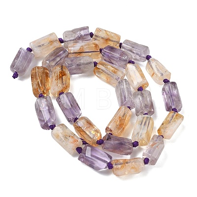 Natural Ametrine Beads Strands G-C270-K20-1