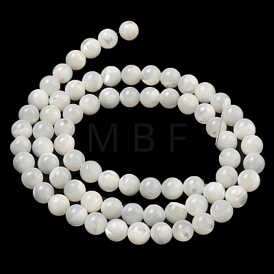 Natural Sea Shell Beads Strands SSHEL-K013-6mm-A-1