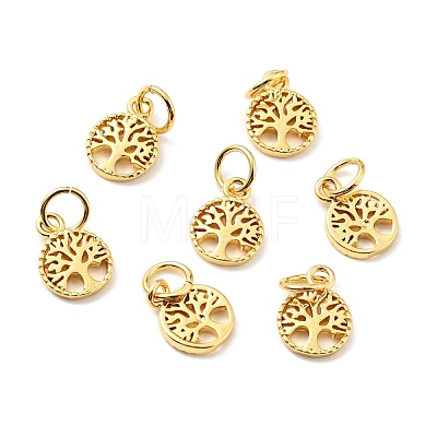 Rack Plating Brass Pendants KK-C242-02G-1