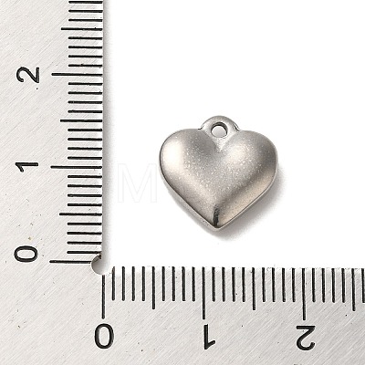 304 Stainless Steel Pendants STAS-R223-02A-1