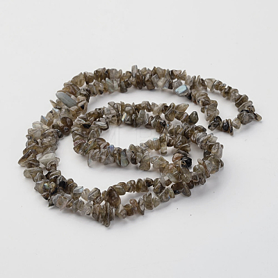 Natural Labradorite Chips Beads Strands LS-F069-1