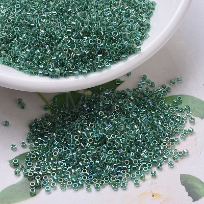 MIYUKI Delica Beads SEED-J020-DB0060-1