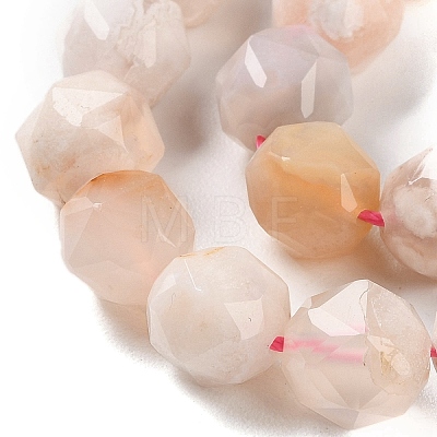 Natural Cherry Blossom Agate Beads Strands G-NH0021-A15-02-1