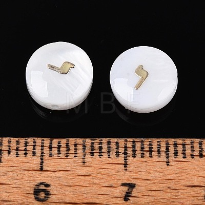 Natural Freshwater Shell Beads LS-BSHE-ZX007-03H-1