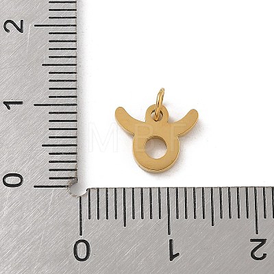 304 Stainless Steel Charms STAS-R001-04G-02-1