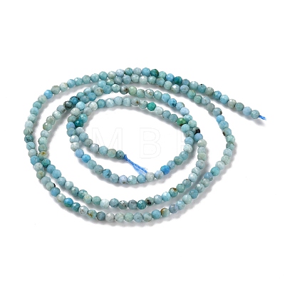 Natural Blue Opal Beads Strands G-K315-B05-A-1