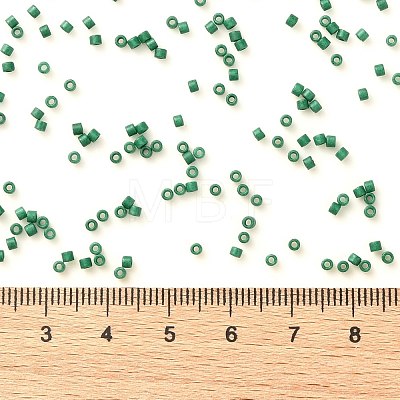 Cylinder Seed Beads X-SEED-H001-C09-1