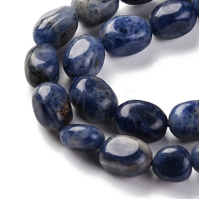 Natural Sodalite Beads Strands G-G146-A03-01-1