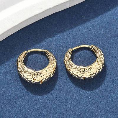 Brass Hoop Earrings EJEW-D320-16G-1