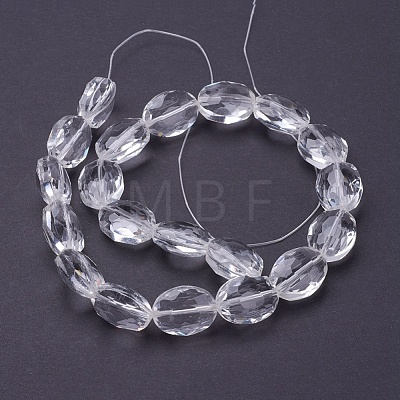 Glass Bead Strands X-GLAA-S003-16x13mm-14-1