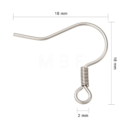 316 Surgical Stainless Steel Earring Hooks X1-STAS-E009-2-1