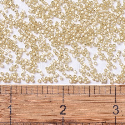 MIYUKI Delica Beads X-SEED-J020-DB0621-1