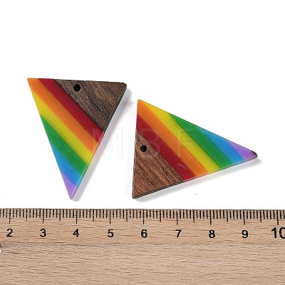 Rainbow Color Opaque Resin & Wood Pendants WOOD-K012-13-1