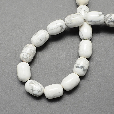 Barrel Shaped Gemstone Natural Howlite Stone Beads Strands G-S114-29-1